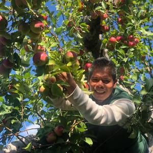 Meet your Posher, Efren